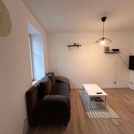 # Le 1 # Tres Beau T3 Neuf Rez-De-Chaussee Centre Ville Mulhouse Buitenkant foto